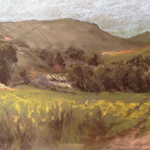 Hills in the Galilee, pastel, 65 x 50 cm