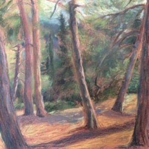 Clearing Within the Jerusalem Forest, pastel, 65 x 50 cm