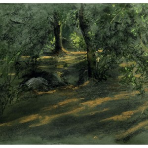 Jerusalem Forest, pastel, 65 x 50 cm