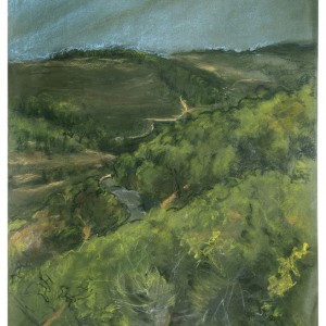 Green Hills from Ein Setaf, pastel, 65 x 50 cm