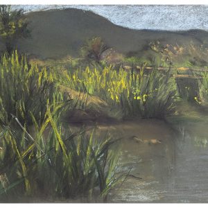 Hula Swamp, pastel, 65 x 50 cm