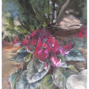 Rakefet - Native Flowers of Israel, pastel, 65 x 50 cm