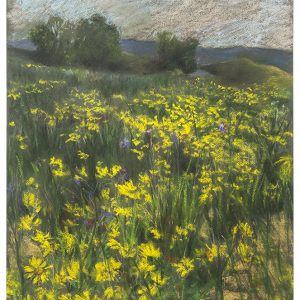 Field of Daisies, pastel, 65 x 50 cm