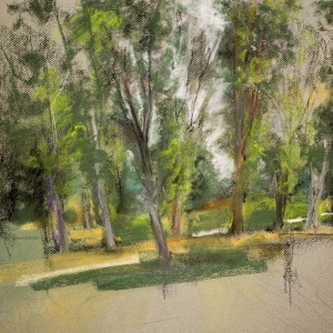 Trees in Hula Valley, 65 x 50 cm