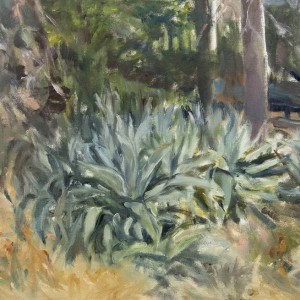 Aloe Vera, oil, 35 x 45 cm