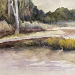 The Hula Valley in March, watercolor, 61 x 46 cm